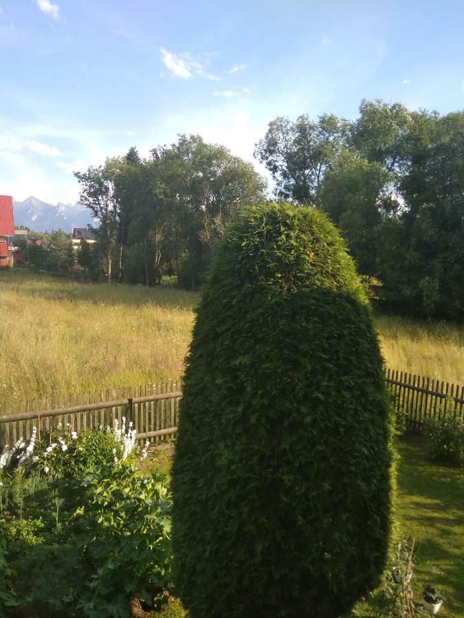 Apartament Widok Czarna Gora Bagian luar foto