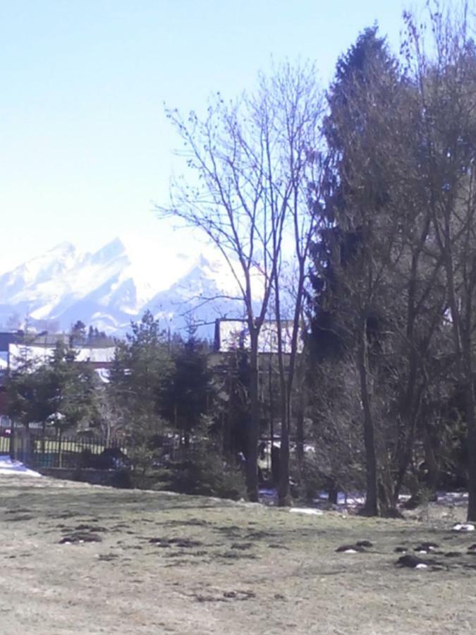 Apartament Widok Czarna Gora Bagian luar foto